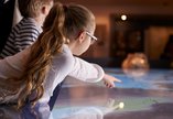 Child in a museum pointing at display
